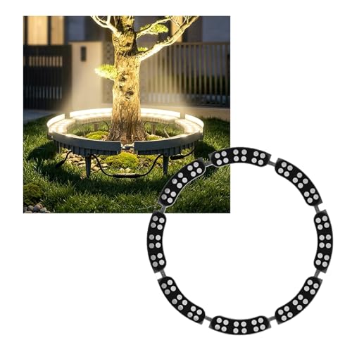 Lumière anneau arbre IP65 DC 24V en aluminium pour éclairage extérieur de jardin - Lot de 8