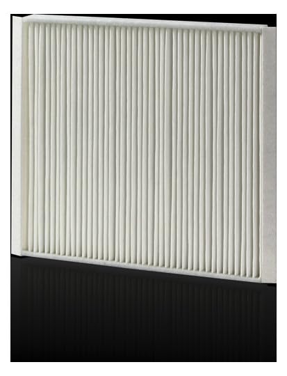 Rittal Faltenfilter IP54 für 3240/3241, 5 St.