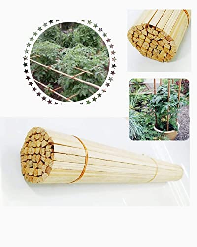 GREENARTZ® Wooden Support Sticks for Plants Creepers Climbers Stem Support Climbing Support for Home (2 Feet, 12)
