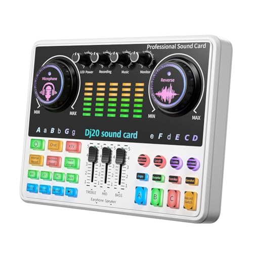 Microfono Avanzato Cardioid DJ20 e Kit Scheda Audio 48V per Sound Live con Funzionalità di Riduzione del Rumore