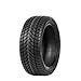 Produktbild Delinte WD 1 205/55 R1691H Winterreifen