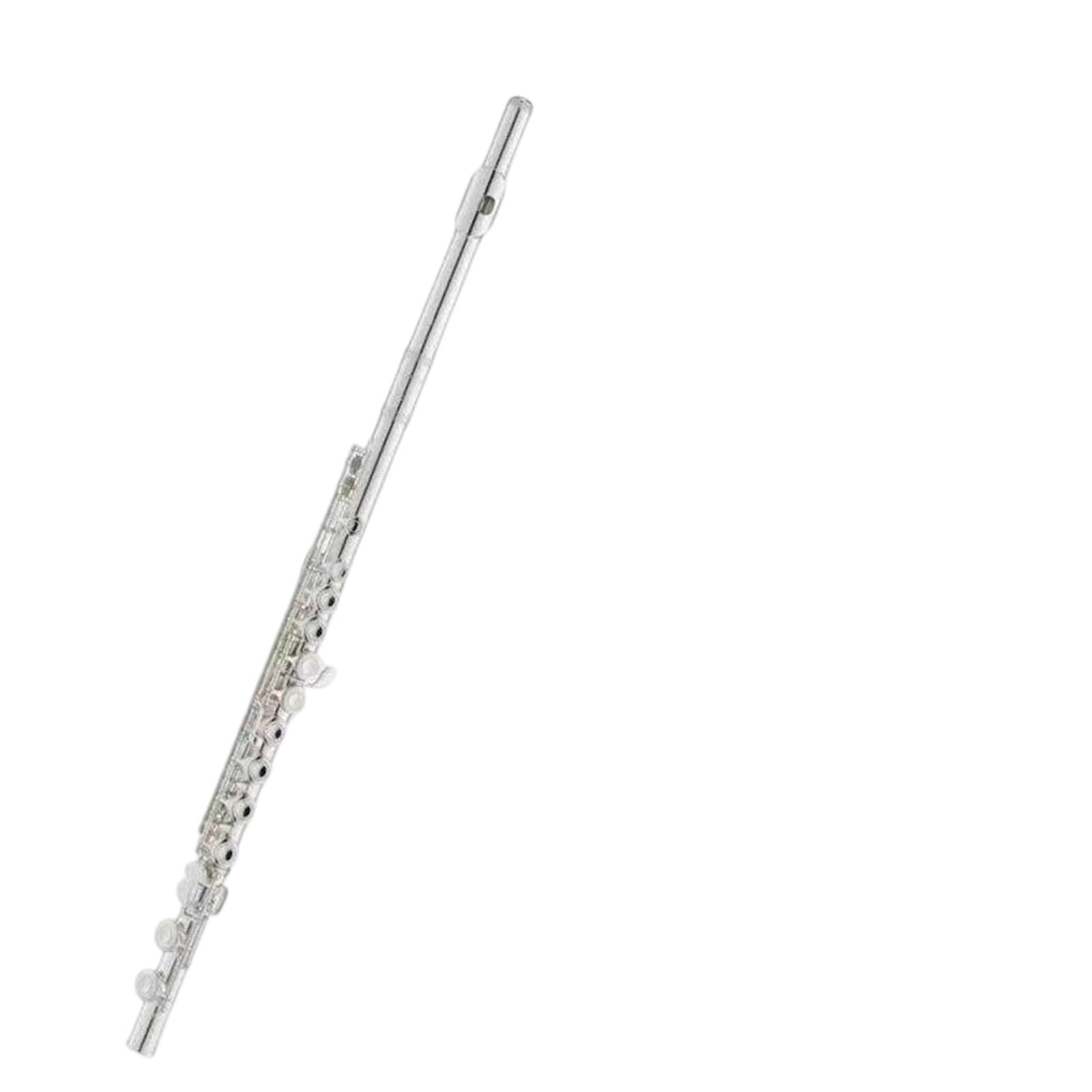 16 Chiave C Per Flauto Aperto/chiuso A 17 Fori Adatta Principianti E Musicisti Professionisti Durevole(Type 6)