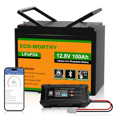 ECO-WORTHY 12V 100Ah LiFePO4 Bluetooth mit 12/24V 20A Ladegeräte,Lithiumbatterie 12V 100AH mit BMS Low Temperature Schutz für Wohnmobil,Boot,Wohnwagen