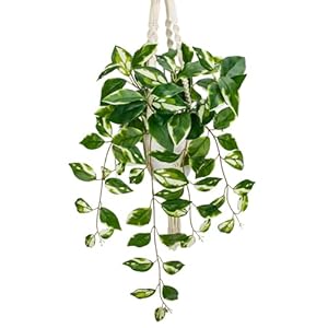 Briful Artificial Hanging Plant Indoor Macrame Plant Hanger with Fake Pothos Plant in White Pot White N Joy Faux Hanging Plant for Home Ceiling Farmhouse Kitchen Decor