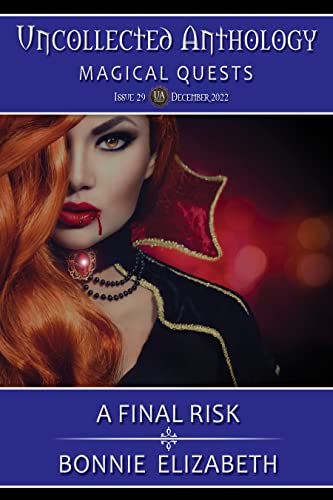 Cover of A Final Risk
