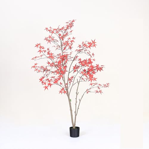 [LJKI]  tFCNO[   AȊϗtA ݂̖ bh ^ ϗt 傫 傫 lH lHϗtA A  A[gO[ 150cm  CeAO[  oRj[ x_ eX 