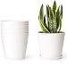 Mkono 6.5 Inch Plastic Planters Indoor Set of 5 Flower Plant Pots Modern Decorative Garden Pot with Drainage Hole and Tray for All House Plants, Herbs, Foliage Plant, and Seed Nursery, Cream White