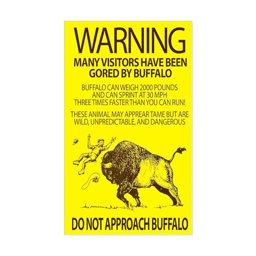 CafePress Warning: Buffalo Rectangle Sticker Rectangle Bumper Sticker Car Decal