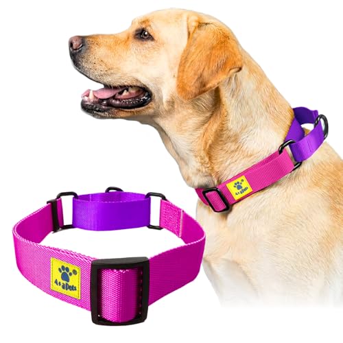 Image of A+a Pets Martingale Dog Collar | No Pull Design, No Neck Strain, No Choke Design | for Large & Medium Dogs | Rust Free, Waterproof Nylon Training Collar (Pink & Purple), 20 x 2.5 cm