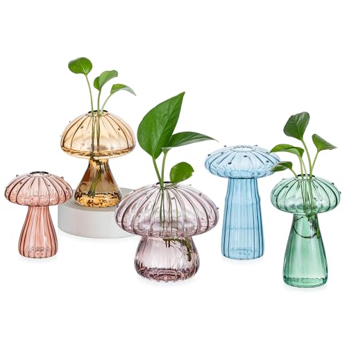 Hewory Glass Mushroom Propagation Stations: Set of 5 Unique Propagation