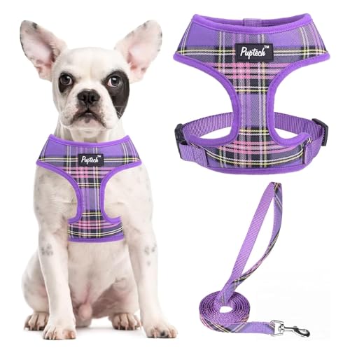 PUPTECK Small Dog Harness and Leash Set No Pull for XS XXS Sized Dogs Puppy