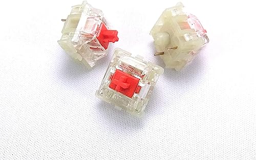 SAEYZ JjJL[XCb`eF10Zbg (obNCgLEDΉ Ԏ 10Zbg)