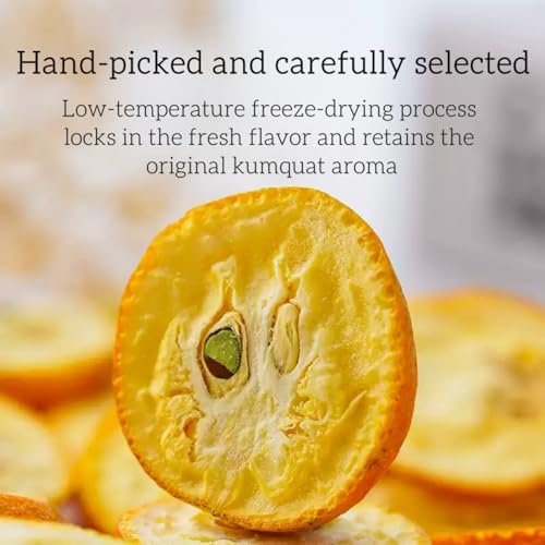 Dried kumquat slices, kumquats, fresh kumquats, citrus, great for cocktails and snacks or drink toppings, 3.17 oz/90 grams