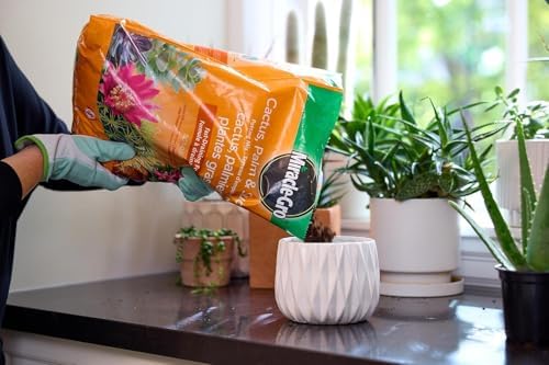 Miracle-Gro Cactus Palm & Succulant Mix 8.8L, 2-Pack | Fast-Draining Soil for Cacti, Palms & Succulents | Feeds 6 Months