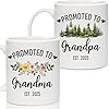 Breezy valley promoted to grandparents gifts grandma and grandpa 2025 coffee mugs first time 1st grandparents gifts for new grandpa grandma pregnancy baby announcement for grandparent mug set  urban country home decor