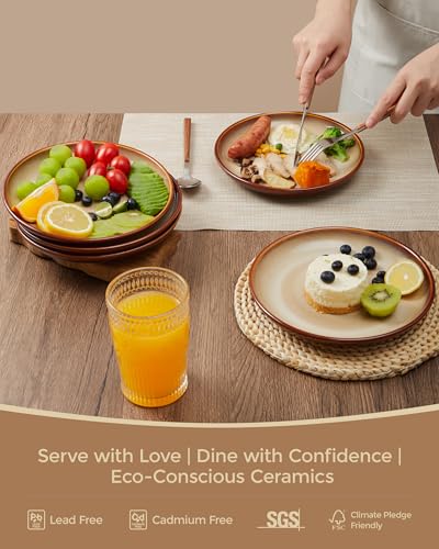 Image of Ceramic Dinner Plates Set of 6, 8inch Salad, Dessert Plates Dishes | Reactive Glaze Stoneware Dish Set, Dinner Plate for Dessert, Salad, Appetizer, Microwave & Dishwasher Safe, Scratch Resistant
