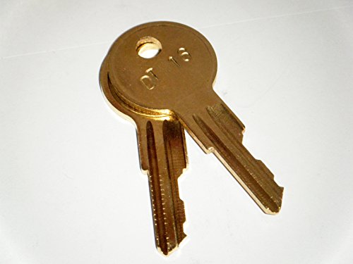 DETEX Alarm Key DT16 Battery Cover Access Key Change Low Beeping Battery