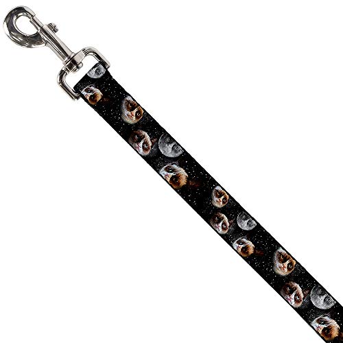Laisse pour chien Grumpy Cat large sangle Buckle Down 1,8m x 3,8cm