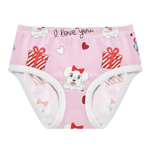 Cute Dogs Red Gifts Pink Panties for Girl Toddler Underwear Floral Cotton Fun Briefs Undies Kids 2t
