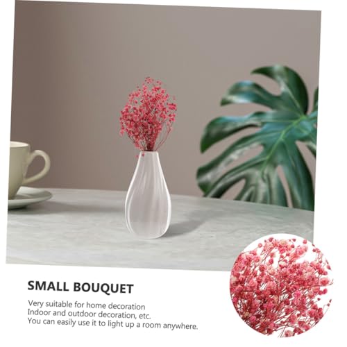 6pcs Mini Ramo de Flores Secas Babys Breath Color Surtido miniatura 6