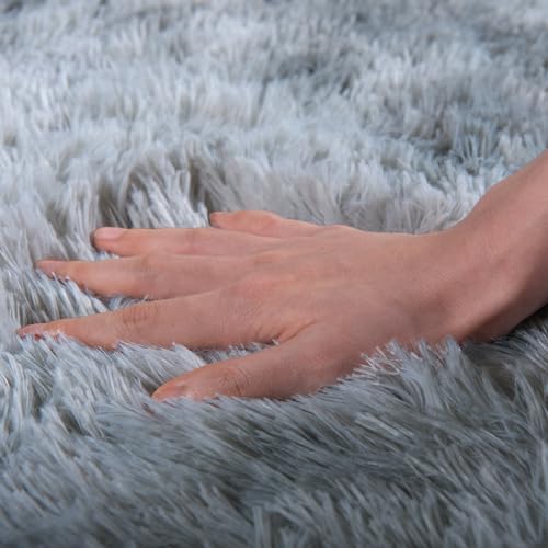 Rugs for Living Room 5x7, Soft Shaggy Modern Shag Area Rug for Bedroom, Upgrade Non-Slip Plush Fluffy Carpet for Kids Boys Girls Room Home Decor Aesthetic, Light Grey