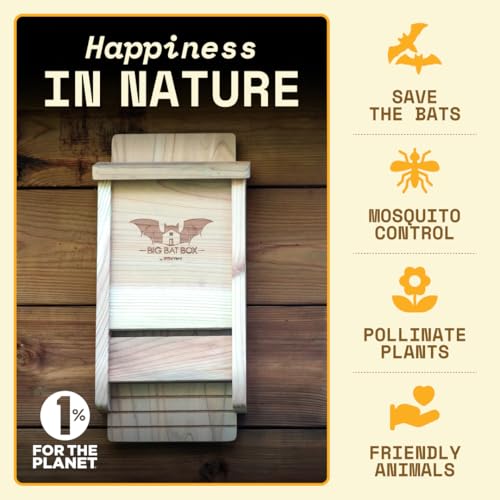 Image of BIGBATBOX Bat House for Outdoors - 1 Chamber, No Interior Paint, Cedar