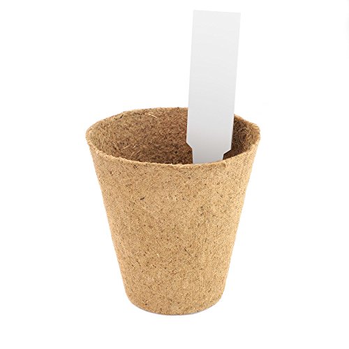Daniel's Plants Biodegradable Seed Starter Pots (30 Pack) - Image 2