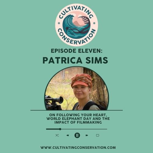 Episode Eleven: Patricia Sims on following your heart, world elephant day and the impact of filmmaking