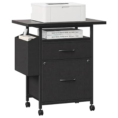 Alpen File Cabinet, Small Filing Cabinet with 2 Drawer and 24" Desktop, Mobile Printer Stand with Side Storage Bag, Fits A4/Letter for Home Office, Black