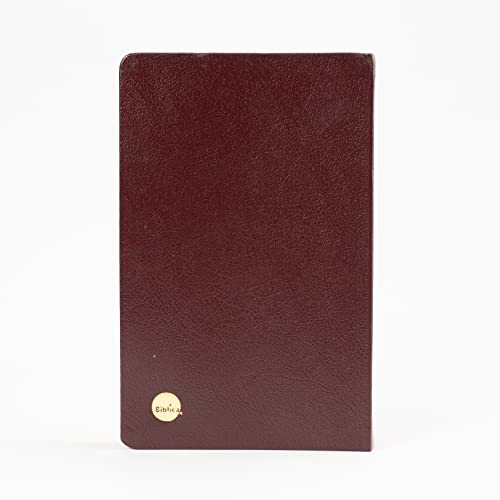 Image of NIV English Bible, Brown Leather Touch Cover, Easy to Read Fonts, Easy to Carry, Thin Bible, Anglicised Edition, Golden Page Leaf, Published by Lifeway India
