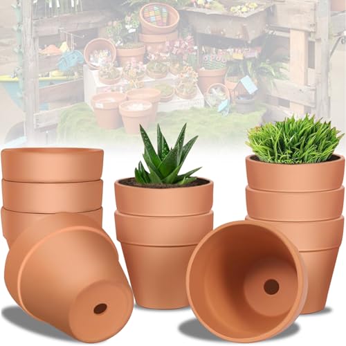 Mockotta 10 Stück 10 X 8 cm Tontöpfe Klein, Terrakotta Topf, Kleine Tontöpfe zum Basteln, Kleine Blumentöpfe, Blumentöpfe zum Bemalen, Tontöpfe Klein mit Abflussloch, Wiederverwendbar Tontopf