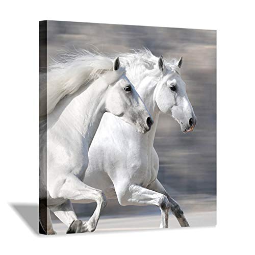 Hardy Gallery White Horse Picture Wall Art: Running Animal Artwork Painting Print On Wrapped Canvas For Living Room Or Office (24'' X 24'') #TOP16
