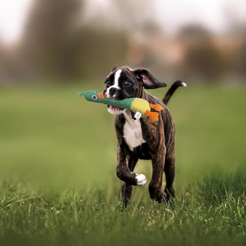 Nocciola Unzerstörbares Ente-Hundespielzeug: Niedliches Quietschspielzeug mit Langlebigen Gummi-Quietscher, Ente-Kauspielzeug für Welpen, Kleine bis Große Hunde