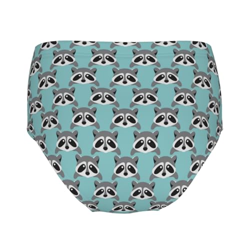 Cute Racoon Pattern Girls' Underwear Soft Cotton Little Girls Panties Comfort Briefs2