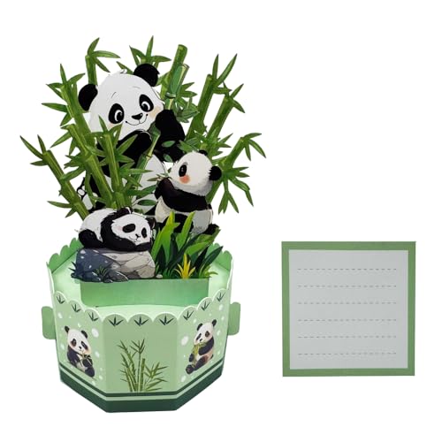 3D Pop Up Panda Greeting Cards Blank Cute Panda Bamboo with Envelope for Birthday Thank You
