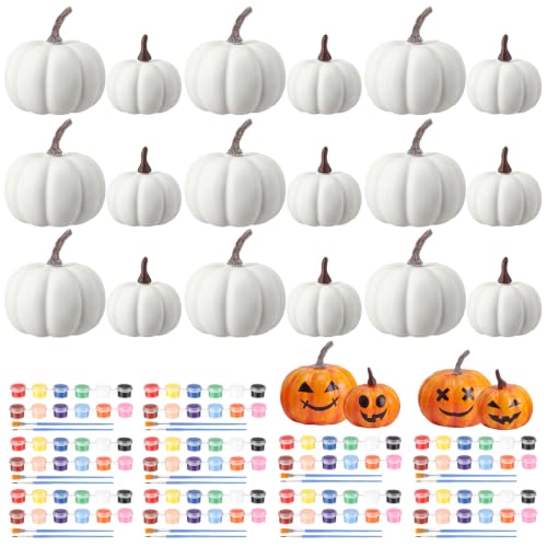 HyDren 20 Sets Pumpkin Painting Kit Mini White, 2&3 Inches