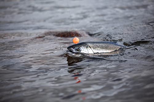 Bnr Tackle Soft Beads Pro Pack Sw Wa #TOP4