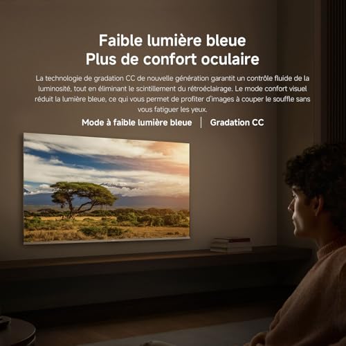 Xiaomi TV F 43 109 cm 43 Pouces 4K UHD Smart TV Fire OS8 Contrôle Vocal Alexa HDR10 MEMC 2Go+ Compatible avec Apple AirPlay - vue 7