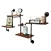 pujindu Vintage Industrial Wandregal Holz, Bilderleiste Schweberegal, Aufbewahrung Wandmontage Blumenregal für Wohnzimmer Schlafzimmer Küche, Metall Wasserrohr Wanddeko