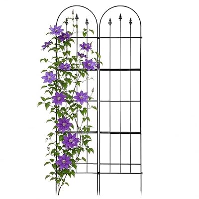 2 Pack Garden Trellis for Climbing Plants Outdoor - 16'' W x 71" H Large Rustproof Metal Plant Support Trellis, Decorative Panels for Climbing Rose, Clematis and Trumpet Vine