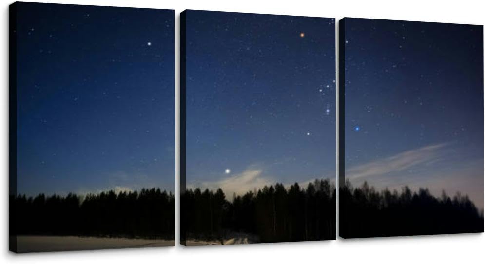 Orion constellation and Sirius above forest winter sky 3 Piece Canvas Wall Art for Living Room Bedroom Office Framed Prints Pictures Painting Wall