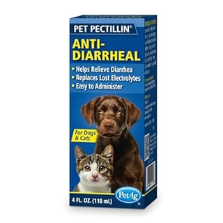 Lambert Kay Pet Pectillin Diarrhea Medication for Dogs and Cats, 4-Ounce
