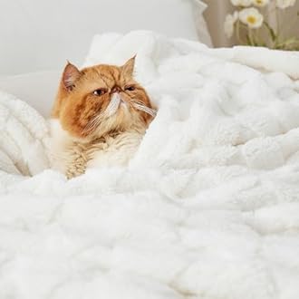 Bedsure GentleSoft King Size Blanket for Bed - Super Soft Cozy Blankets for Women Men Girls, Large Fuzzy Fleece Throw for Bedroom Decor, White,108x90 Inches