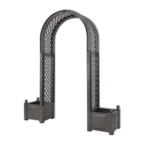 Dominik Blumen und Pflanzen Cover