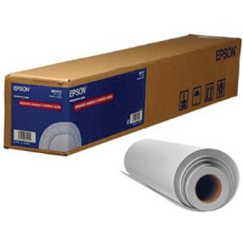 Epson S450132 Screen Positive Film, 17