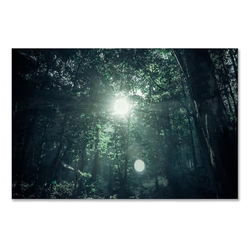 Tableaux décoratifs salon forêt nature automne 40x60cm pour décoration murale