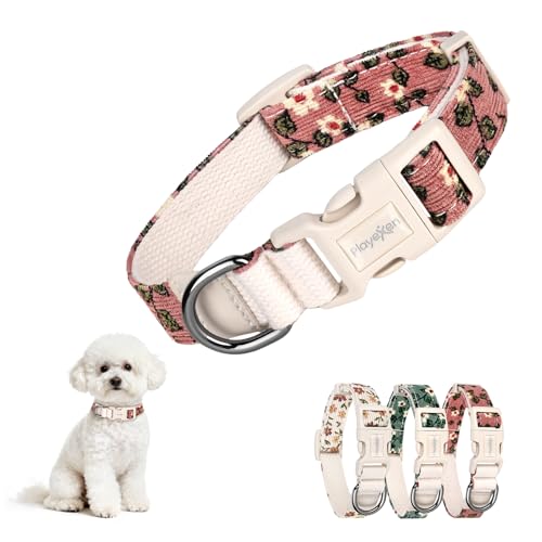 Welpenhalsband Welpen Halsbänder Verstellbares 25-40cm Halsband Hund Klein für Hunde Kleine Mittel Katzen Weiche Cord mit Blumemuster Außen BaumwolleInnen Hundehalsband für Training Ausführe