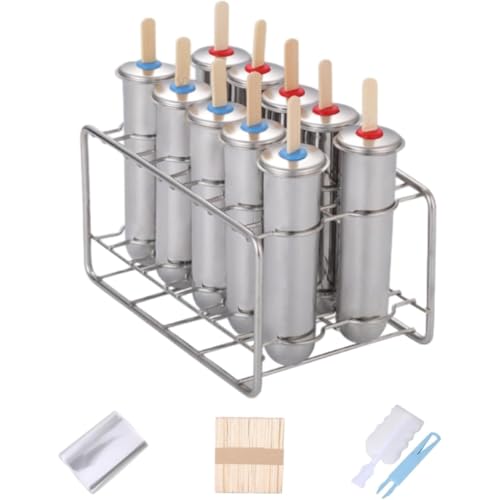 Lonrtesw Kit para Hacer Paletas de Acero Inoxidable (10 Piezas, Incluye 10 Moldes Redondos para Paletas de Hielo y 100 Palitos de Bambú Reutilizables, Plateados y Redondos).