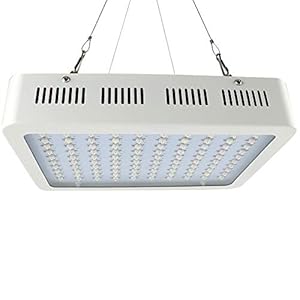 Haofy Led-groeiverlichting, volledige spectrum groeilamp met IR & UV-LED-installatie verlichting voor binnenplanten, microgroen, klonen, vetplanten, zaailingen
