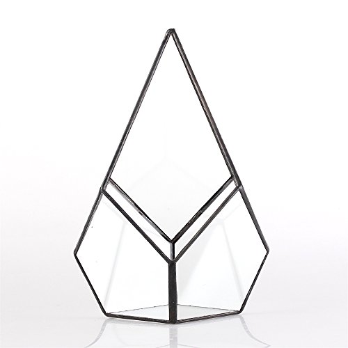 Ncyp Glass Geometric Terrarium Planter (5.5X5.5X9 Inches) Modern Handmade Diamond Shape Flower Pot For Succulent Air Plant, Office Desktop Display Box Decoration Gift (No Plants Included) #TOP3